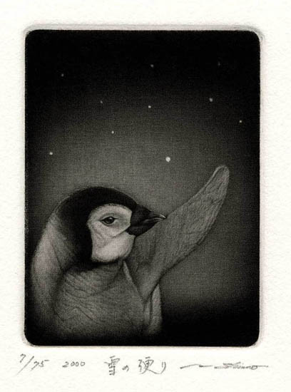 霜山直良: 銅版画 メゾチント 作品